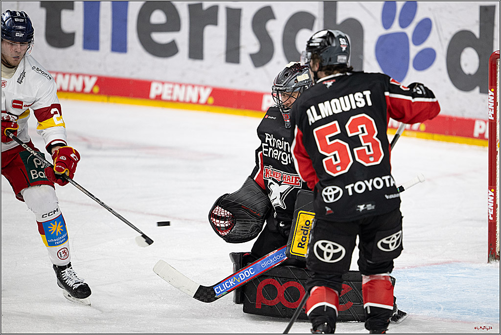 PENNY DEL 1; Kölner Haie - Düsseldorfer EG ; Köln, 16.02.2025